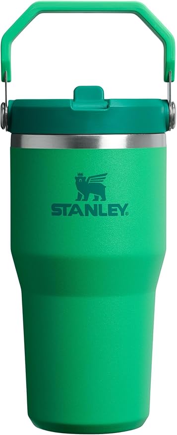 STANLEY IceFlow 2.0 Flip Straw Tumbler with Handle 20 oz | Twist On Lid and Flip Up Straw | Leakproof Water Bottle | Insulated Stainless Steel | BPA-Free | Meadow