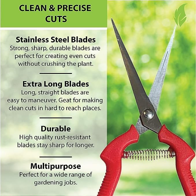 Garden Guru Extra Long Stainless Steel Pruner Pruning Shears Clippers Snips – Sharp Bonsai Cutter Plant Trimming Scissors – Straight Blade Garden Scissors Tool – Great for Roses Flowers Herbs Fruits