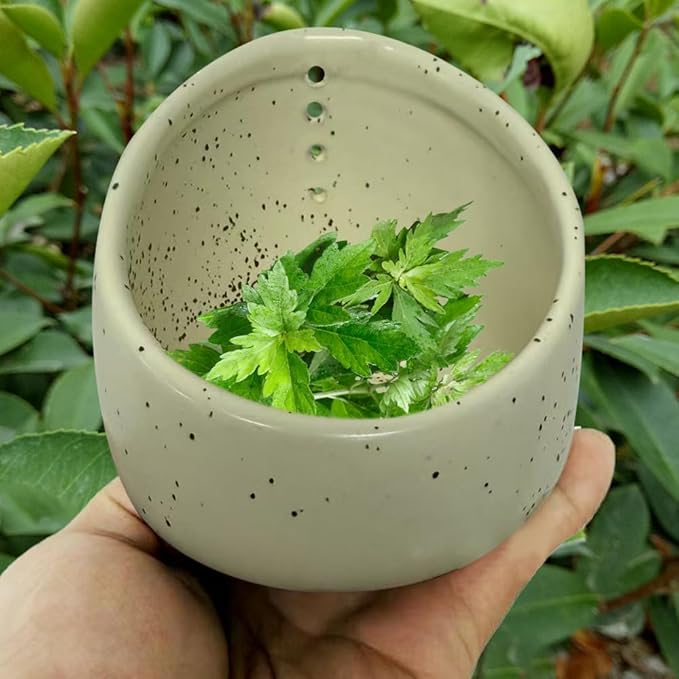 Pottery Herb Stripper Bowl, 2025 Upgrade Pottery Herb Stripper Cup Ceramic Herb Peeling Cup, Handmade Different Round Hole Sizes Suitable for Peeling Off The Leafy Assembly (B)