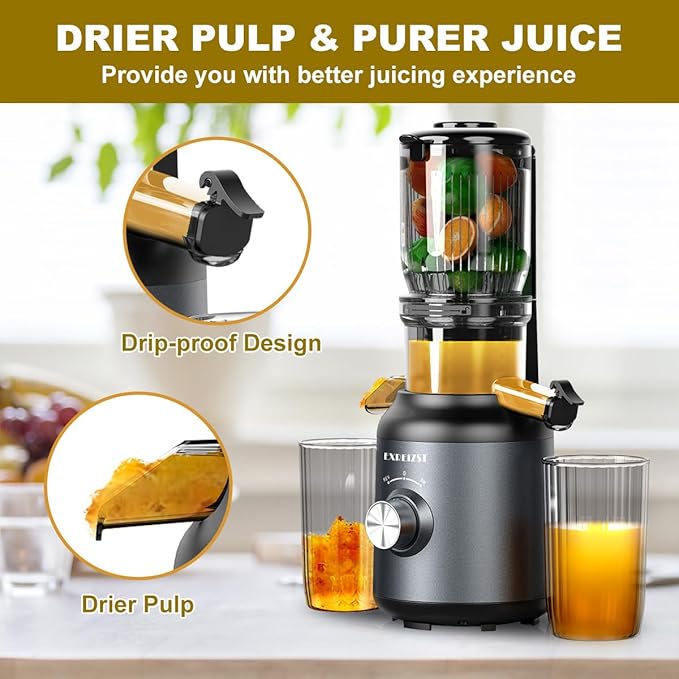 Juicer Machines, Cold Press Juicer with 4.2'' Large Feed Chute, Fit Whole Fruit and Vegetable Slow Juice Extractor Machine, 250W Masticating Juicer Easy To Clean, High Juice Yield, BPA Free
