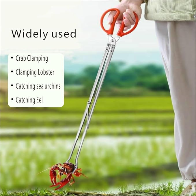 2 Piece Stainless Steel Crab Tong Eel Clamp Tong for Reptile Feeding Snake Charcoal Trash Pick - Up Seafood Picking for Low Tide