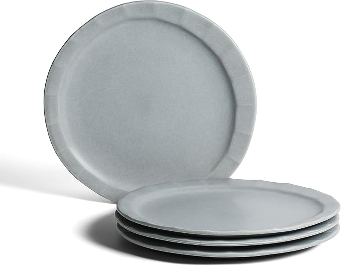 Stone Lain Oasis 4-Piece Dinner Plate Set Stoneware, Grey Blue