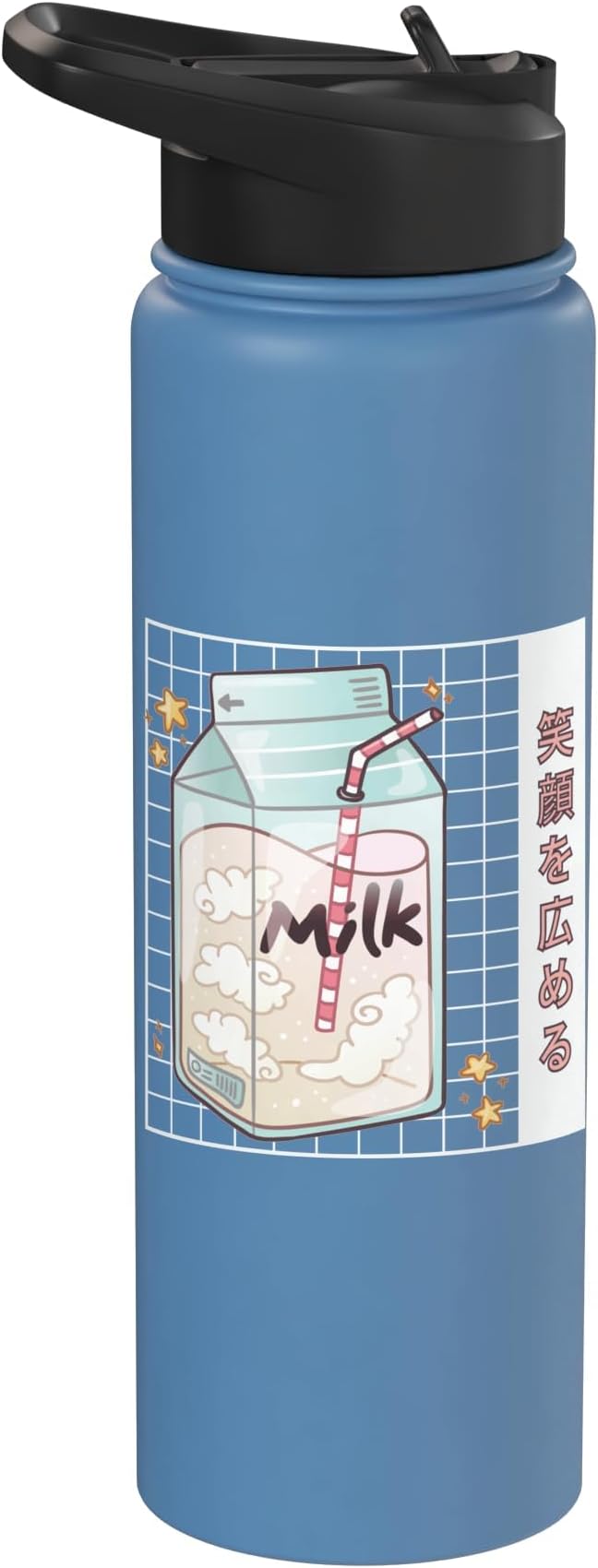 Japanese Kawaii Strawberry Milk Carton Vaporwave Grid Stainless Steel Insulated Water Bottle