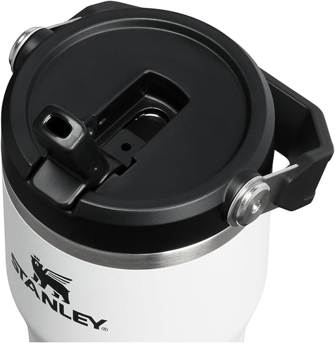 STANLEY IceFlow 2.0 Flip Straw Tumbler with Handle 20 oz | Twist On Lid and Flip Up Straw | Leakproof Water Bottle | Insulated Stainless Steel | BPA-Free | Chalk