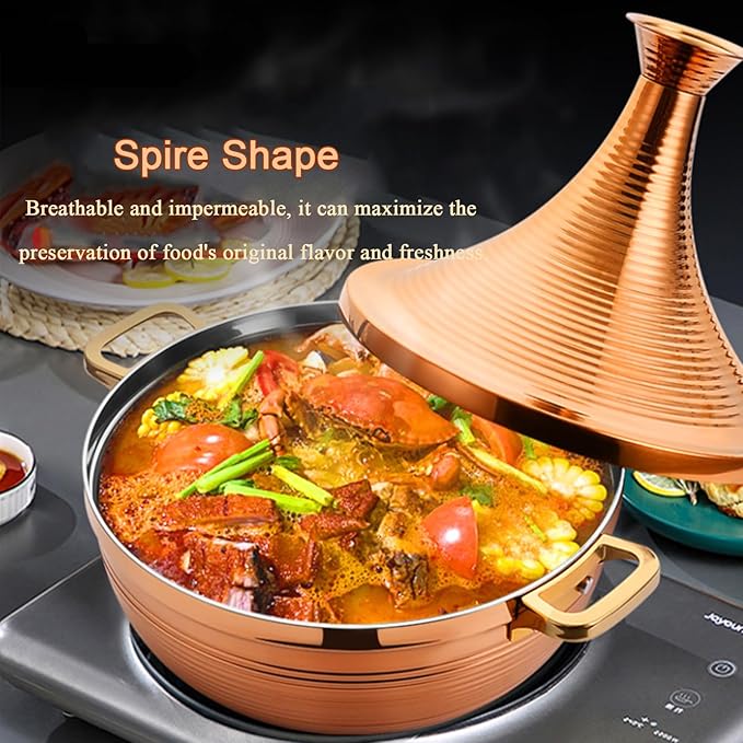 Stainless Steel Moroccan Tagine Pot, Large Moroccan Tajine Casserole with Cone-Shaped Lid, Non Stick Tagine Cooking Pot with 2 Handles(24cm/9.4in, Silver)