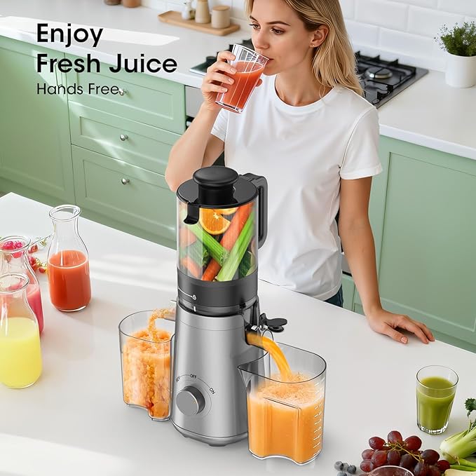 Juicer Machines, 5.3" Wide Feed Chute Cold Press Juicer for Whole Vegetables & Fruits, High Juice Yield, BPA Free (Slivery)