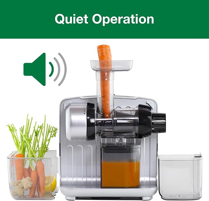 Omega Juicer Cold Press 365 Slow Masticating Vegetable and Fruit Juice Extractor and Nutrition System Makes Nut Milks Baby Food and Sorbets, 80-RPM Slow Juicer with On-Board Storage, 200-Watts, Silver