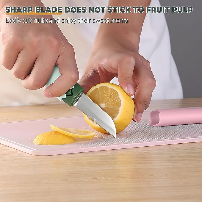 2 in 1 stainless steel Paring knife Peeler; fruit peeler; apple peeler; pear peeler, vegetable peeler, Kitchen Peeler (2, Green White)