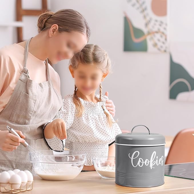 DAYYET Gray Cookie Jar for Kitchen Counter, 1 Gallon Vintage Cookie Jar with Airtight Lid, Large Food Storage Container for Candy, Cookies, Dessert, Farmhouse Kitchen Decor and Accessories