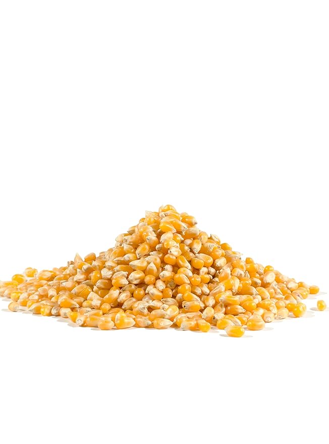 Bob's Red Mill Yellow Popcorn, 30oz (Pack of 4) - Non GMO, Whole Grain, Vegan, Kosher