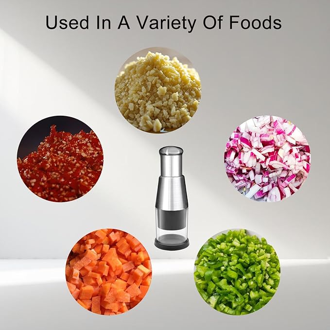 Manual Pressed Chopper,1PCS,Functional Manual Garlic Press,2025 Upgraded Compact Mini Dicer Food Chopper,Stainless Steel Hand Food Chopper for Mincing Garlic Press Stainless Steel