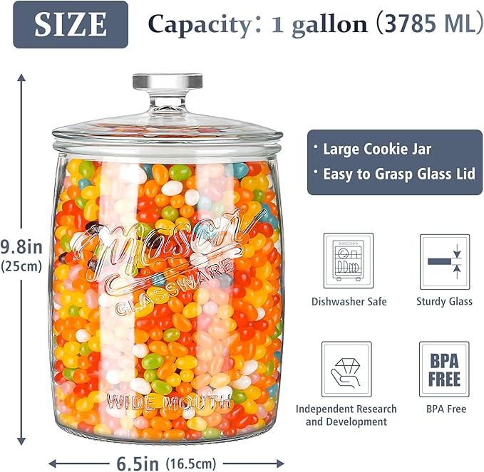 Folinstall 1 Gallon Glass Cookie Jar, Large Glass Jar with Airtight lid, Glass Food Storage Container for Cookies, Candy, Flour, Dog Treats, Coffee, Laundry Room Storage & Pantry