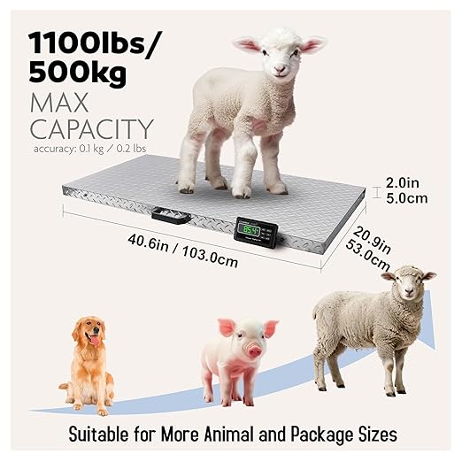 Charmline 1100lbs x 0.2lbs High Accuracy Digital Postal Scale with 41x21 in Large Stainless Steel Platform, Heavy Duty Scale for Dog, Pig, Goat Sheep, Battery & AC Adapter Powered, Slip-Resistant