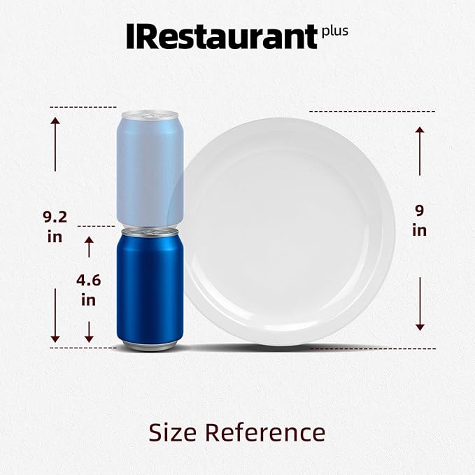 Stoneware Narrow Rim Commercial Grade Ceramic Dinnerware Bright White, Round Dinner Plate 9", Case of 24, Restaurant & Home Dining