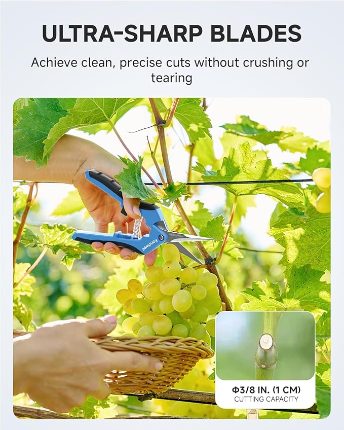 Fondwell 6.5" Garden Shears Trim Scissors: 2 Pack of Pruning Shears for Gardening - Ultra Sharp Garden Clippers with Straight Blades