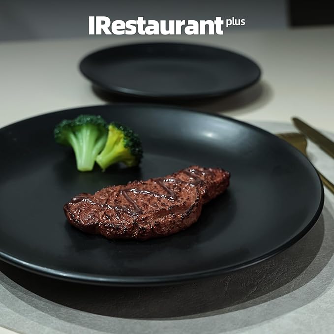 Stoneware Coupe Commercial Grade Dinner Plates, Matte Black Round Plates 10.5", Case of 12