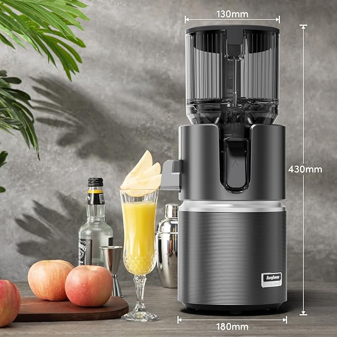 Anybear Cold Press Juicer with 4.9" Large Feed Chute, 350W Masticating Juicer Machines with Dual Slow-Squeezing Technology for Whole Fruits & Veggies with High Yield | BPA-Free Tritan (Grey)