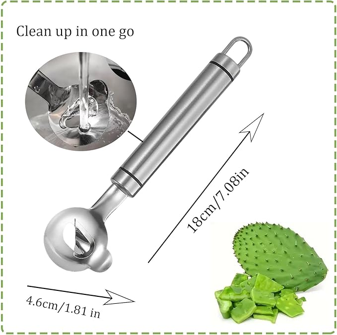 Multi functional Cactus peeler, Multi functional stainless steel peeler, spoon shaped design convenient and easy to use suitable for peeling fruits and vegetables with hook (3)