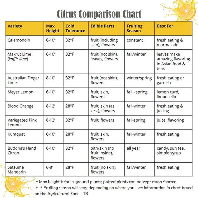 Herb Stripper and Orange Peeler Tool, Herb Stripper Tool for LooseLeaf Kale Chard Collard Greens, Citrus Peeler for Oranges Kiwi Banana Fruit Cutter Opener Slicer, Kitchen Gadgets