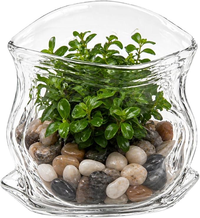 Restaurantware Clear Glass Bowl 8 oz Crinkle Edge Unzipped Bag Bowl Creative Serving Dish Dishwasher Safe Transparent Glass and Microwave-Safe Container for Serving Desserts, Candies