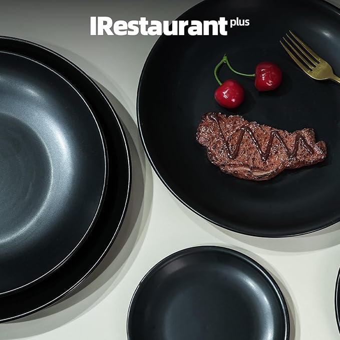 Stoneware Coupe Commercial Grade Dinner Plates, Matte Black Round Plates 10.5", Case of 12