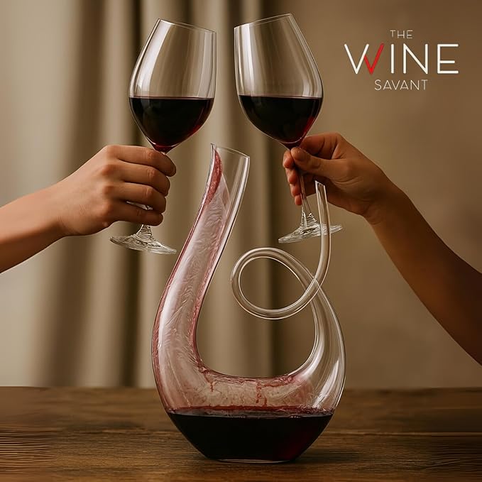 Art Series Swan Swirl Wine Decanter, Hand Blown, Lead-Free Glass with Wide Base for Aeration, + Cleaner Elegant U-Shaped Design with Spill-Reducing Spout – 33.8 oz – Modern Display for Red Wine Lovers