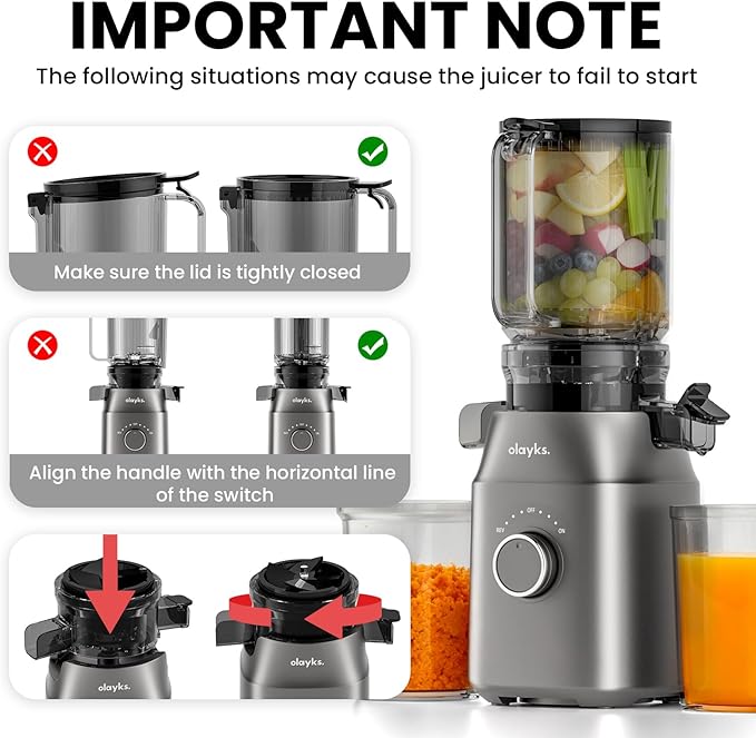 Juicer Machines, Cold Press Juicer for Fruit and Vegetable, Masticating Machine with Juice Recipe, Self Feeding Effortless for Batch Juicing,Easy to Clean,High Juice Yield