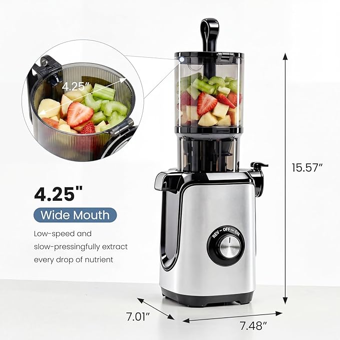 DUMOS Masticating Juicer Machines, Cold Press Juicer with 4.25" Wide Feed Chute, High Juice Yield for Whole Vegetables & Fruits, Easy to Clean, Silver