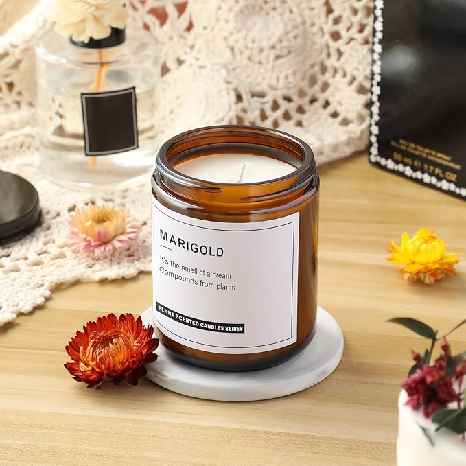 12 Pack, 8 OZ Dark Amber Candle Jars for Making Candle - Thick Glass Jars with 12 Metal & 12 Plastic Lids - Empty Round Food Storage Containers, Canning Jar For Spice, Liquid, Sample - Food Grade