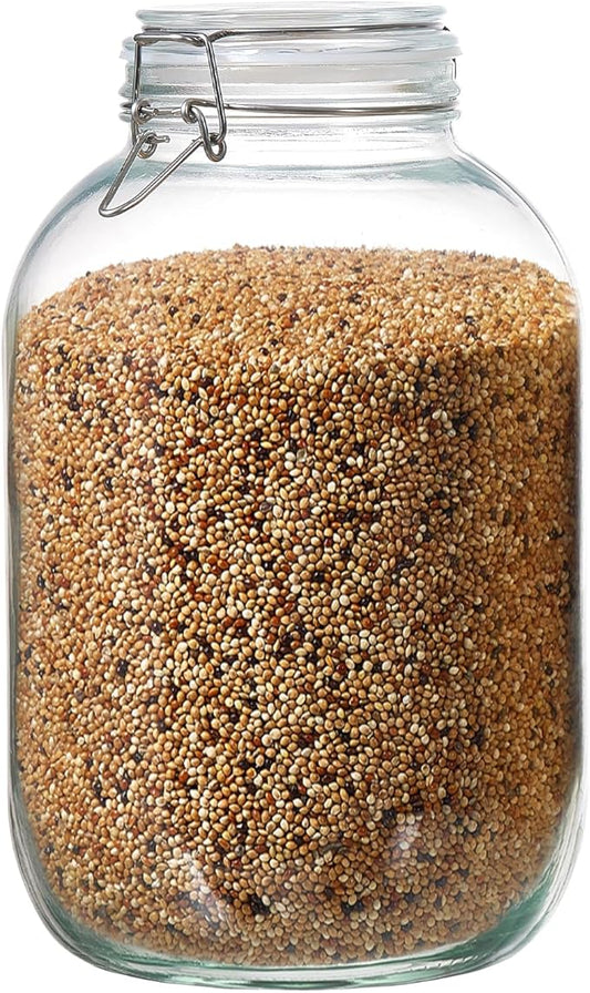 1 Gallon Glass Food Storage Jars with Airtight Lids, Set of 1 – Clear Preserving Seal Wire Clip Fastening Canisters for Kitchen Canning, Flour, Cereal, Pasta, Sugar, Beans, Pickling Jars (1gallon*1)