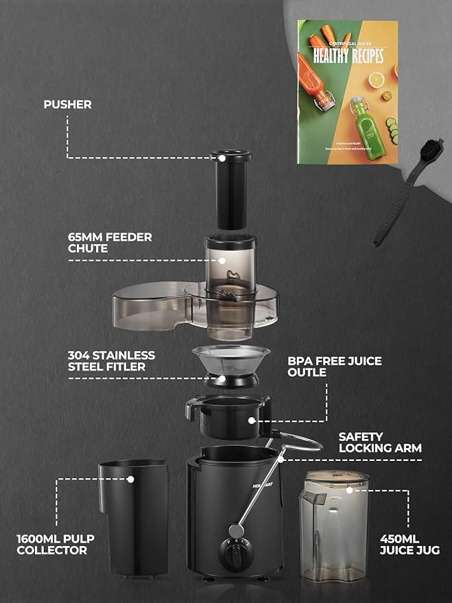 Juicer Machines, HOUSNAT Juicer Whole Fruit and Vegetables with 3-Speed Setting, Upgraded Version 400 W Motor Quick Juicing, Cleaning Brush and Juicing Recipe Included, Black
