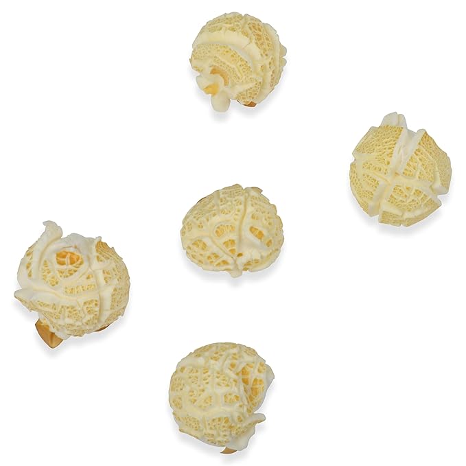Princeton Popcorn Mushroom Hulless Popcorn Kernels – Easy-Eating, Ball Shaped Tender Popping Corn, Non-GMO Popcorn Kernels, No Hulls, Farmer Direct, Microwave Air Popper or Stovetop Bulk Bag 8lbs
