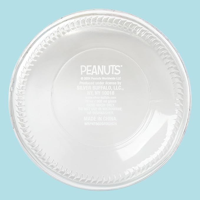 Silver Buffalo Peanuts Squad Featuring Charlie Brown, Snoopy, Schroeder, Lucy, Linus, Sally, Pigpen, Woodstock, and Franklin Glass Cookie Snack Candy Jar with Lid (Small)