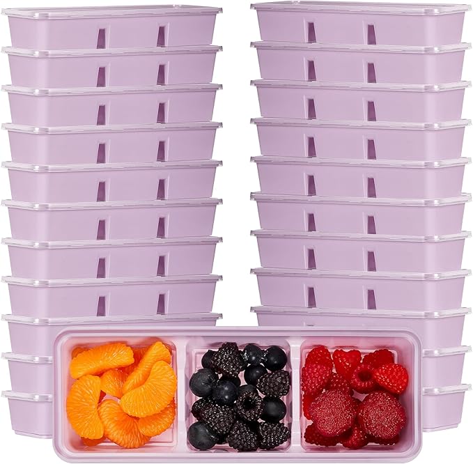 Hushee 10 Pack 17 oz Small Meal Prep Containers with 3 Compartments Snack Containers with Lid Disposable Plastic Bento Box Travel Lunch Food Boxes Stackable for Office Picnic (Purple)