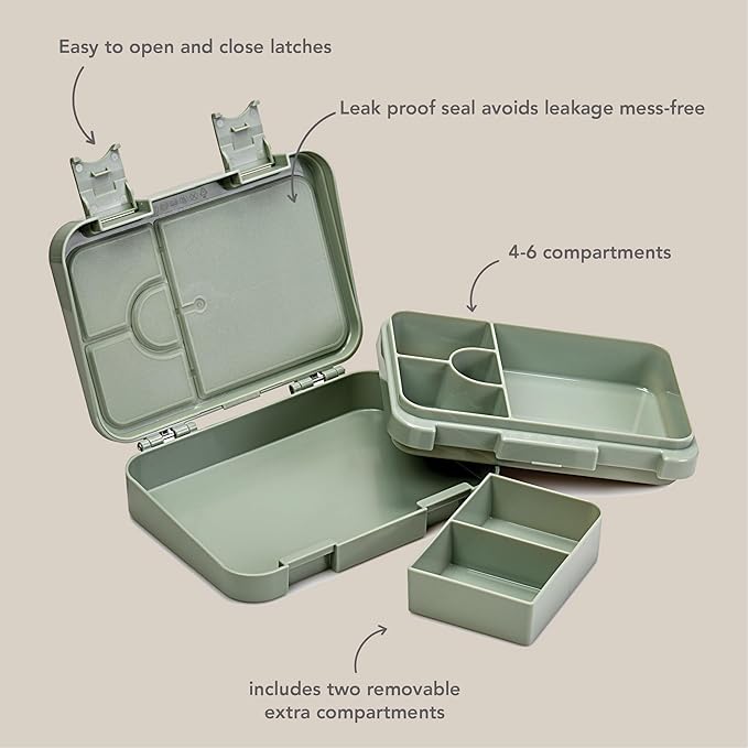 nouka Design Bento Lunch Box | Easy to Open Latches | Spill Proof Design | 6-Compartment Removable Tray | Fairy Bush