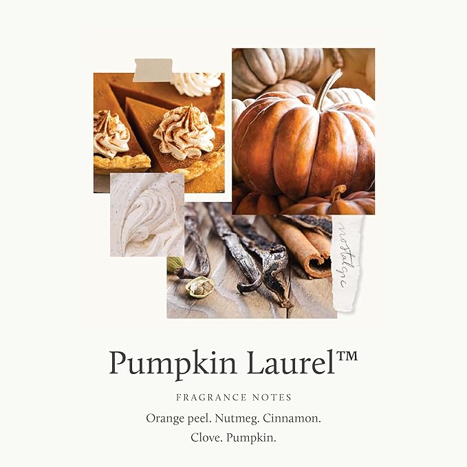 Thymes Scented Candles for Women & Men – Tin with Lid – Luxury Home Decor – Pumpkin Candles with Notes of Nutmeg, Cinnamon, Clove, & Orange Peel – Fall Decor (Pumpkin Laurel, 6.5 oz)