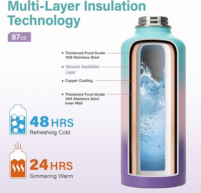 DYSANKY Insulated Water Bottle | Thickened Stainless Steel for Gym and Hiking with Straw, Carrier Bag, Handle Strap | BPA-Free 87 oz