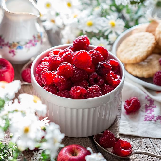 Foraineam 12 Pieces 8 oz Porcelain Souffle Dishes, Oven Safe Ramekins White Bakeware Set Dessert Custard Baking Dishes Cups for Baking, Cooking, Serving and More