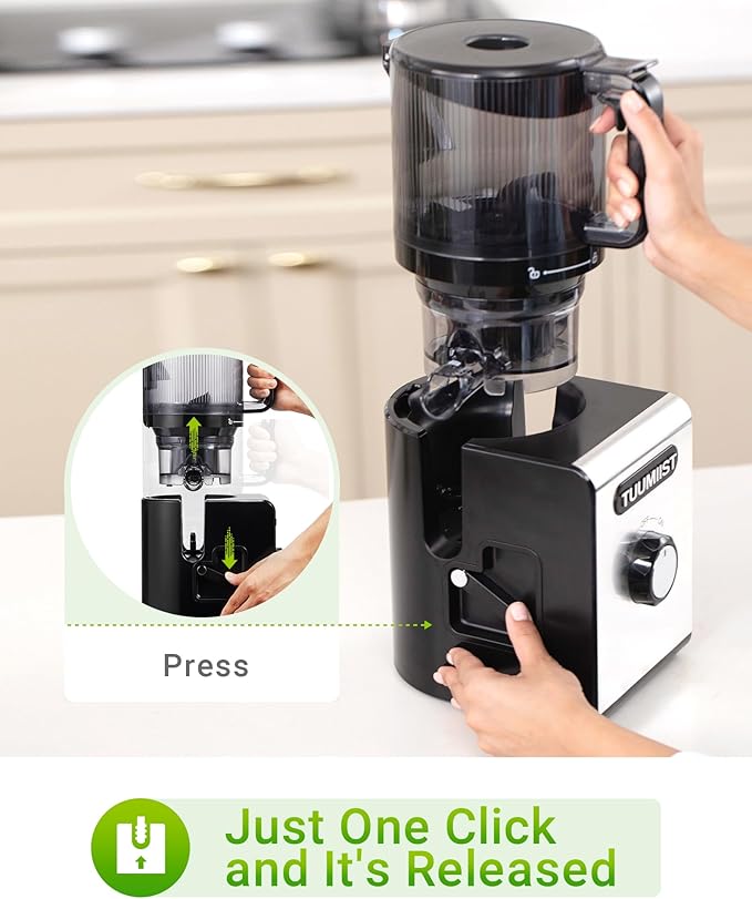 Cold Press Juicer Machine, 6.5" Large Feed Chute Masticating Extractor, Easy to Clean for Whole Fruits & Vegetables, High Yield