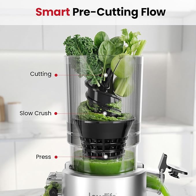 LAUDLIFE Cold Press Juicer Machines, 5.4" Wide Chute Slow Masticating Juicer, 35db Quiet Operation, Easy to Clean, Kale/Spinach Friendly, BPA Free, Juicer Extractor for Whole Fruits & Vegetables