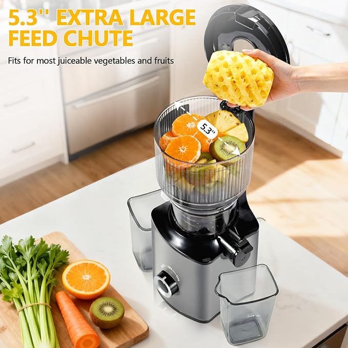Cold Press Juicer Machine 5.4" Wide Feed Chute Juice Extractor Machine High Juice Yield, Slow Masticating Juicer