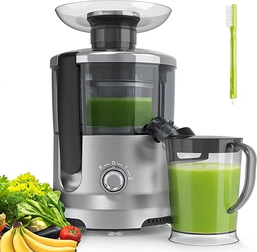 HealSmart Centrifugal Juicer Machines, 500W Juice Extractor with 2" Feed Chute and Trays for Vegetables & Fruits, Electric Juicer with 3-Speed Rapid Juicing, BPA-Free, Compact Design, Silver