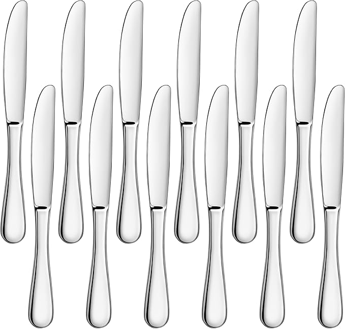 Artaste Rain 18/10 Stainless Steel (Silver (Set of 12), Dinner Knife (9.15-Inch))