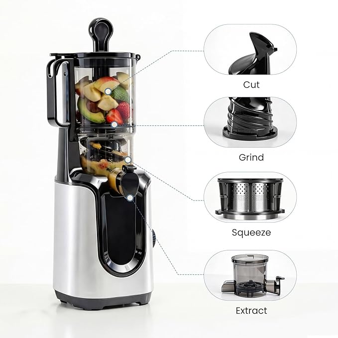 DUMOS Masticating Juicer Machines, Cold Press Juicer with 4.25" Wide Feed Chute, High Juice Yield for Whole Vegetables & Fruits, Easy to Clean, Silver