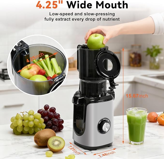 OLIXIS Cold Press Juicer, Masticating Juicer Machines with Wide Feed Chute, High Juice Yield and Easy to Clean for Whole Vegetables & Fruits, Silver
