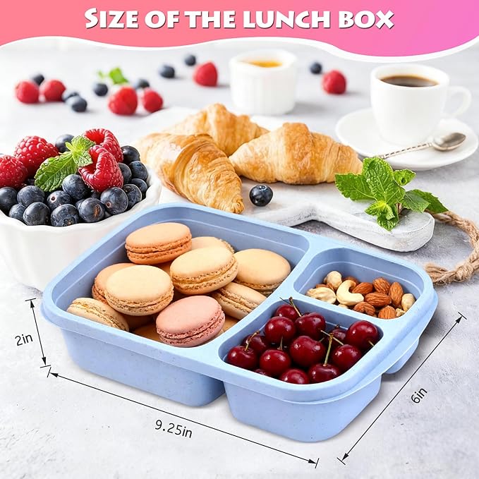 4 Pack Adult Lunch Box Set, Reusable 3-compartment food containers, Microwave and Dishwasher Safe (4 light color)
