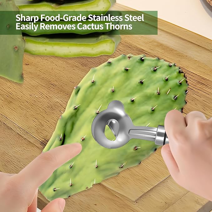 3 PCS Cactus Peeler Tool – Cactus Peeling Spoon, Pelador de Nopales, Multi-Function Nopal Cactus Cutter, Stainless Steel Nopales Peeler with Groove Edge for Peeling Nopales and Noodle