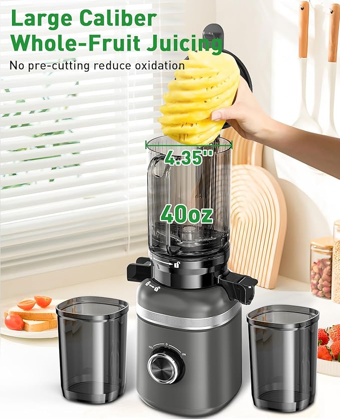 GlowWise Cold Press Juicer Machines for Whole Vegetables & Fruits, Slow Masticating Juicer Maker with Wide Feed Chute, High Juice Yield, Easy to Clean, Gray
