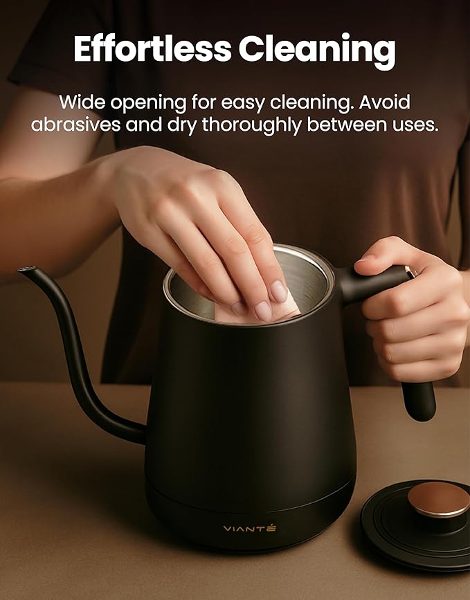 Vianté Electric Gooseneck Kettle with Precise Temperature Control. Pour Over Coffee & Tea Kettle. Boil-Dry Protection & Keep Warm Function. Stainless Steel, BPA-Free. Includes #2 Filters. 0.8L