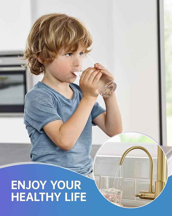 Fapully Commercial 3 Way Kitchen Faucets with Pull Down Sprayer and Water Filler,3 in 1 Kitchen Sink Faucet with Drinking Water Faucet Brushed Gold